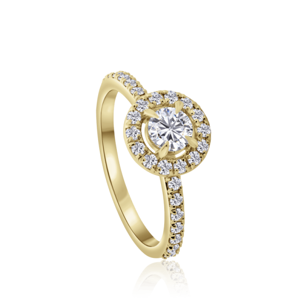 auksinis ziedas halo