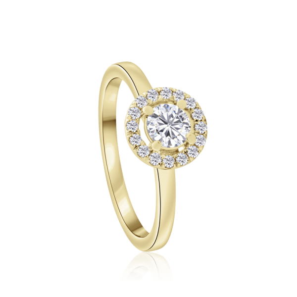 auksinis ziedas halo